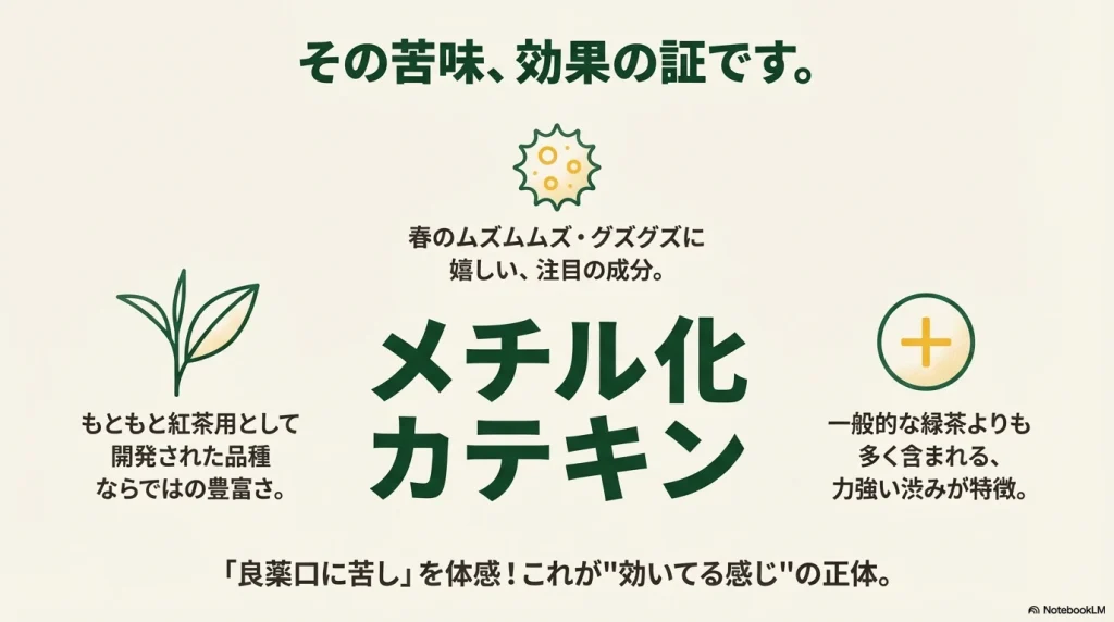 べにふうきに含まれるメチル化カテキンの成分と、独特な苦味・渋味の理由を説明する図解