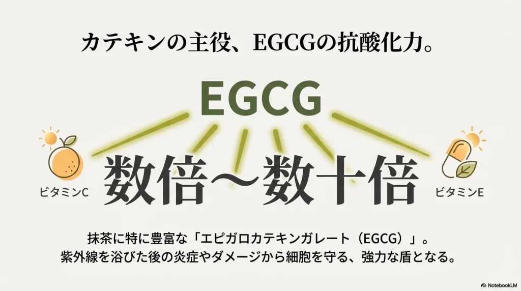 最強の抗酸化成分エピガロカテキンガレート（EGCG）の解説