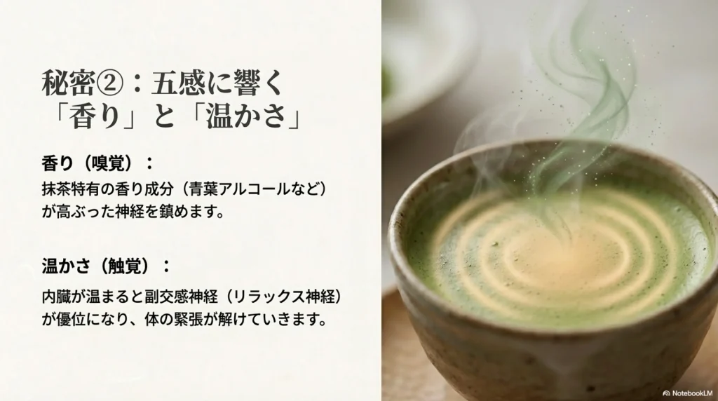 ミルクに含まれるトリプトファンが幸せホルモンに変わる図解