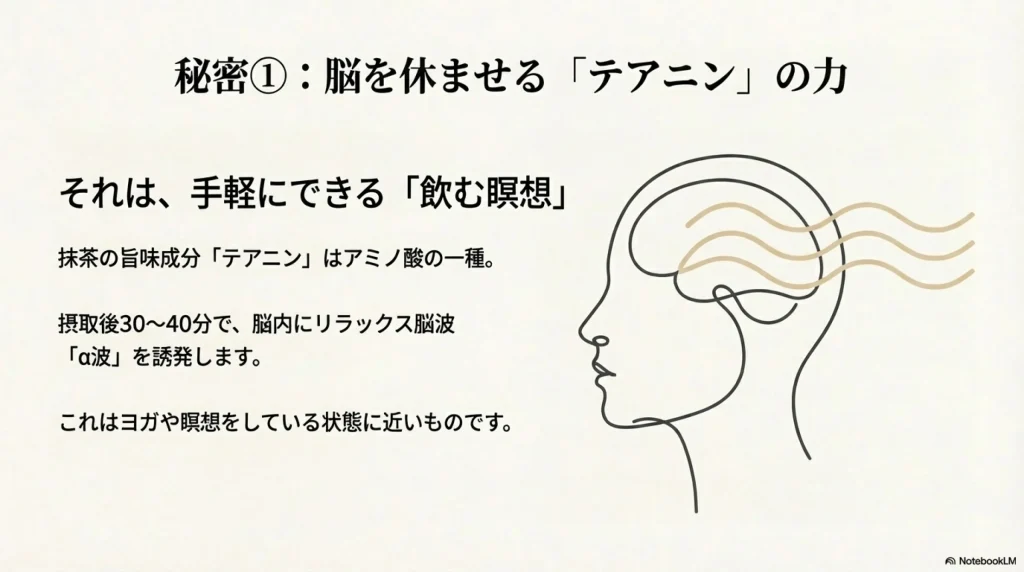 テアニンのリラックス効果と集中力アップの仕組み