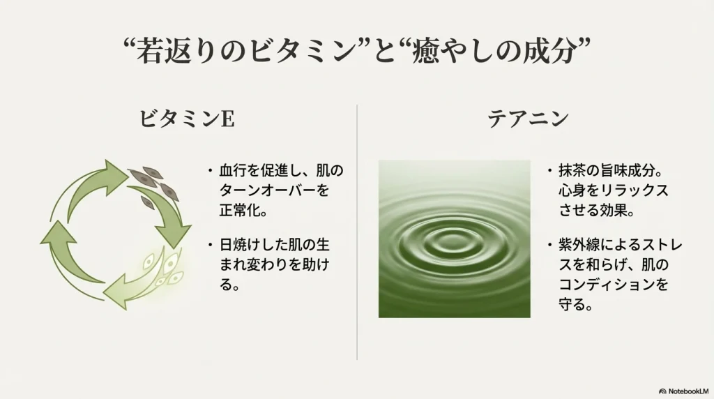 ビタミンEとテアニンによる肌のターンオーバー促進とリラックス効果